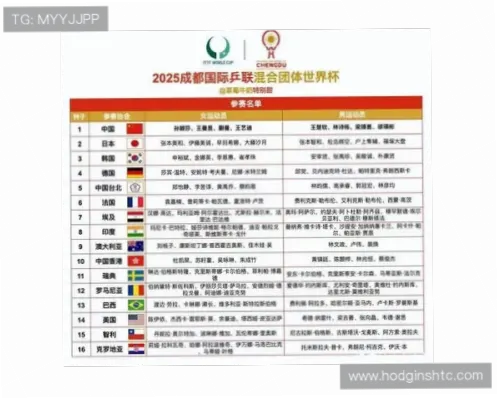 世界杯分组对战表图哪里找？最新获取指南